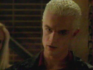 spike.JPG