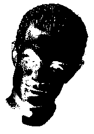 spike_2.gif