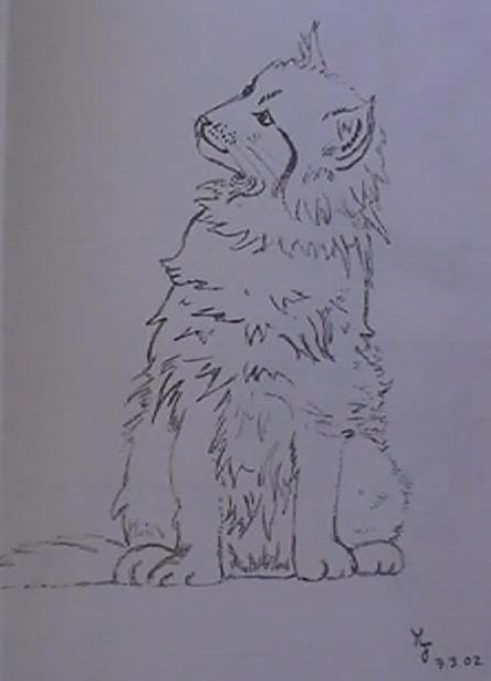 sitzende katze.jpg