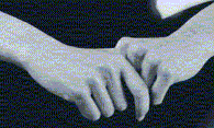 unbenannt2.gif