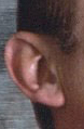 guesswho.jpg