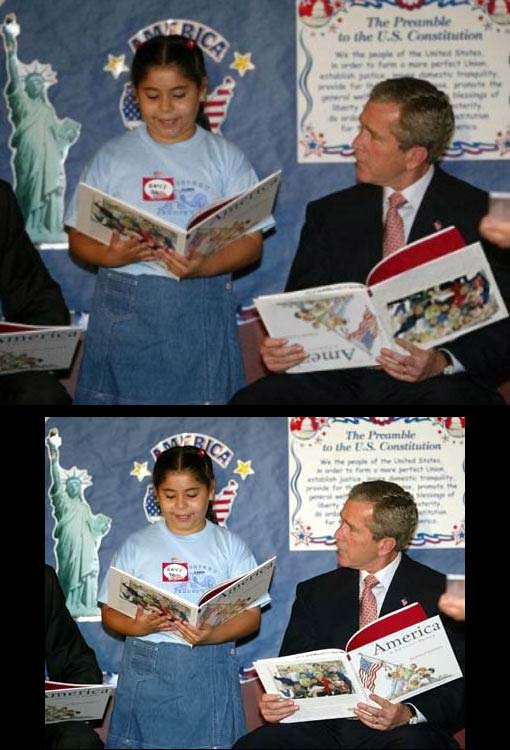 bush1.jpg