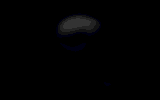 totenkopf.gif