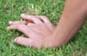 hand.JPG